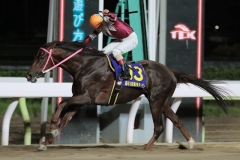 190605 東京ダービー-02 優勝はヒカリオーソ