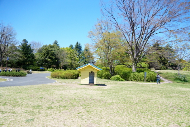 昭和記念公園チューリップ201900076250