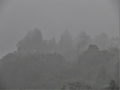霧の城山
