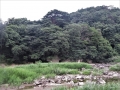 洞窟のある川岸