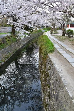 京都201904(22)