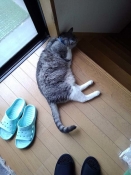 201906303