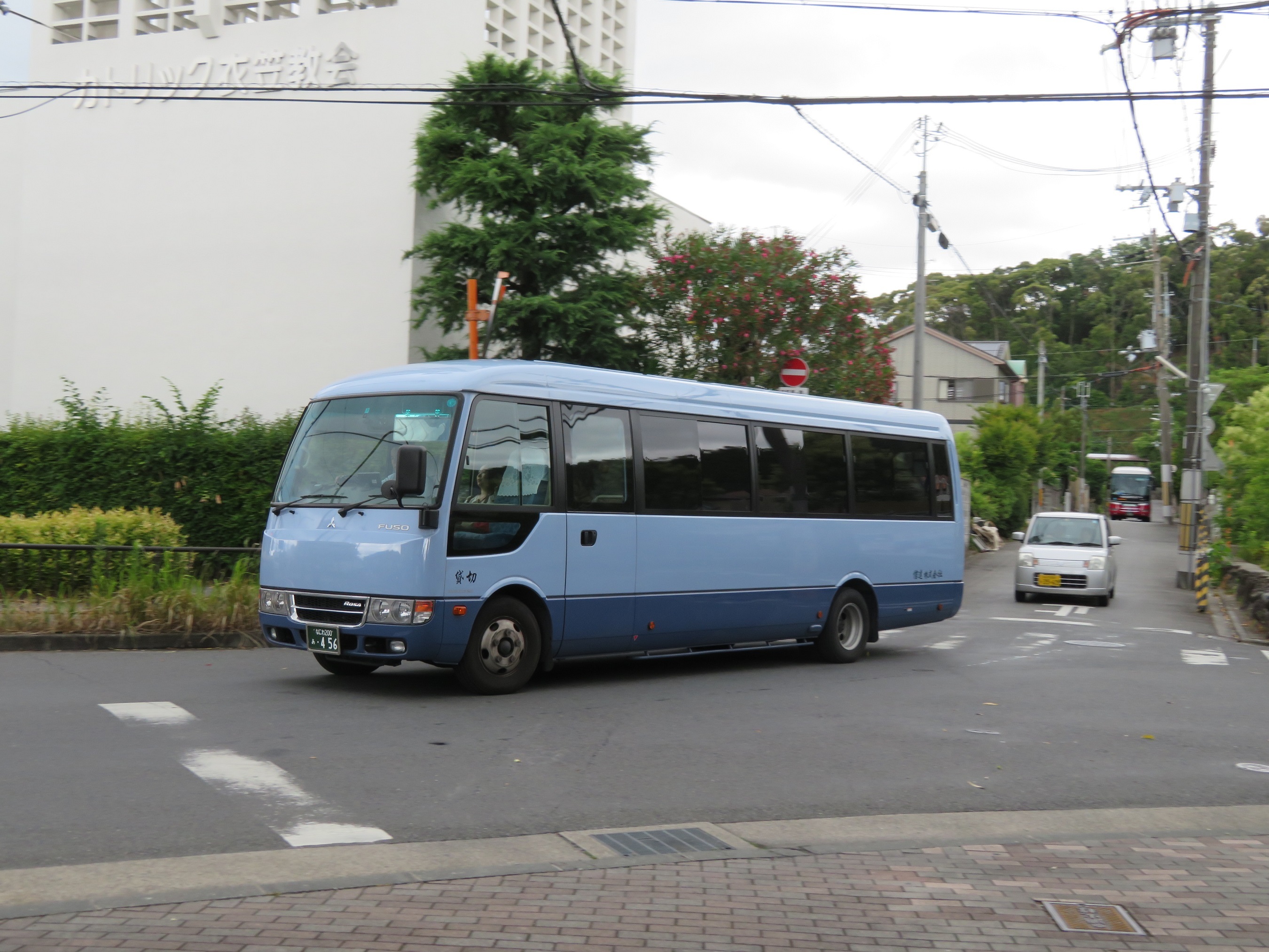 IMG_7251.jpg