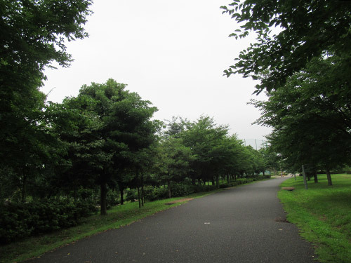 武蔵野の森公園