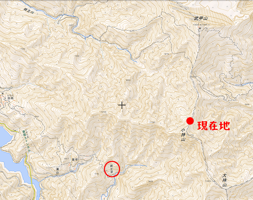 武甲山地図