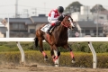 190819瀧川寿希也騎手ラストラン