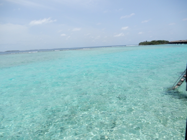 DSCN6639.jpg