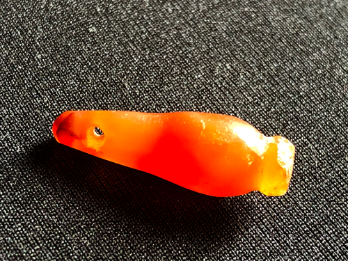tombo2019_05_012