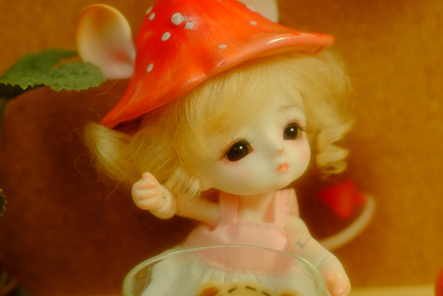 LOONGSOUL・Jomeeのジュン。つぶらな瞳の可愛い子をお迎えしました。