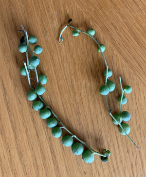 greennecklace1903.jpg