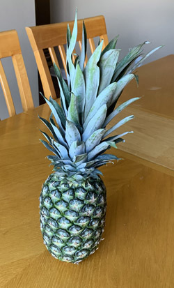 pineapple1904.jpg