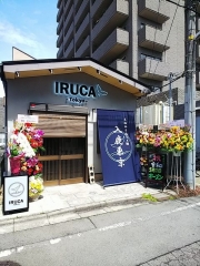 【新店】IRUCA -Tokyo-　本格柚子塩らぁ麺 入鹿東京－２