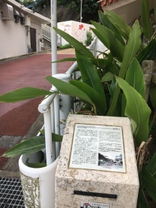 20190704沖縄ｋ (61)