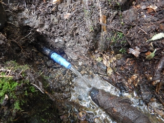 DSCN8989.jpg
