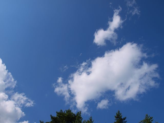 s8天気もった